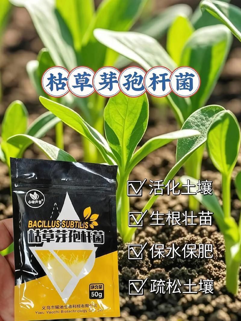 有哪些生物藥劑可以防治龍眼爛尾病，防治龍眼爛尾病的方法
