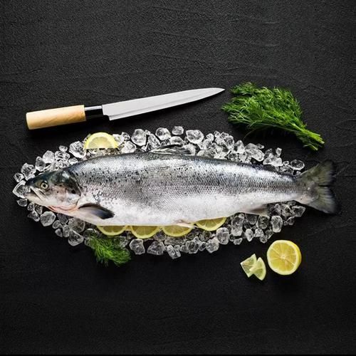 十大品牌魚哪個口碑最好，十大品牌魚哪個口碑最好挪威三文魚哪個口碑最好