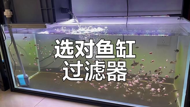 1米長(zhǎng)40寬70高魚缸需要多大的過濾系統(tǒng)？，1米長(zhǎng)40寬70高魚缸需要多大的過濾系統(tǒng),過濾系統(tǒng)選擇