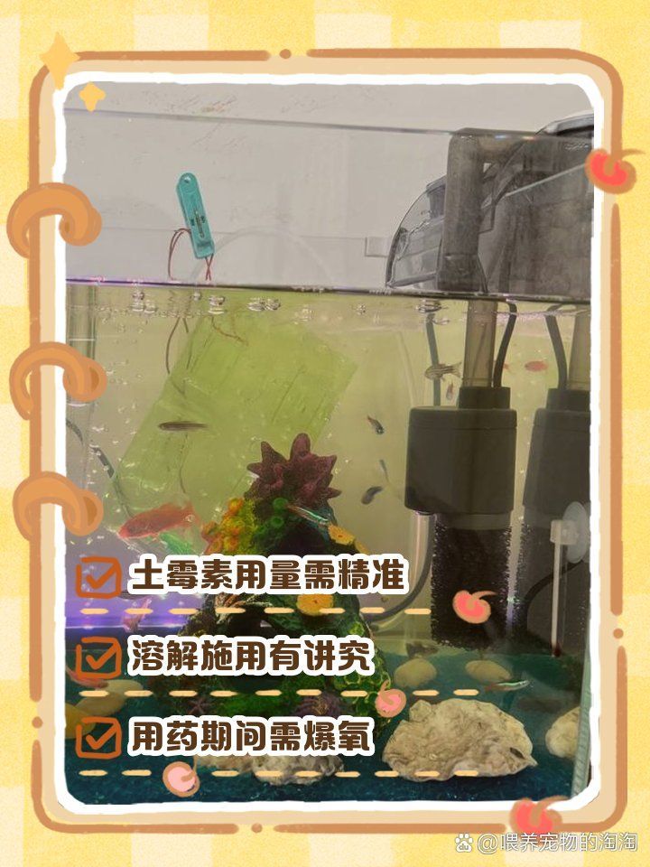土霉素對哪些水產病原菌有效，20公分龍魚一次喂多少食龍魚喂食有哪些注意事項