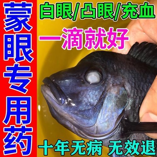 哪種藥物對金龍魚蒙眼病最有效，金龍魚蒙眼病使用方法