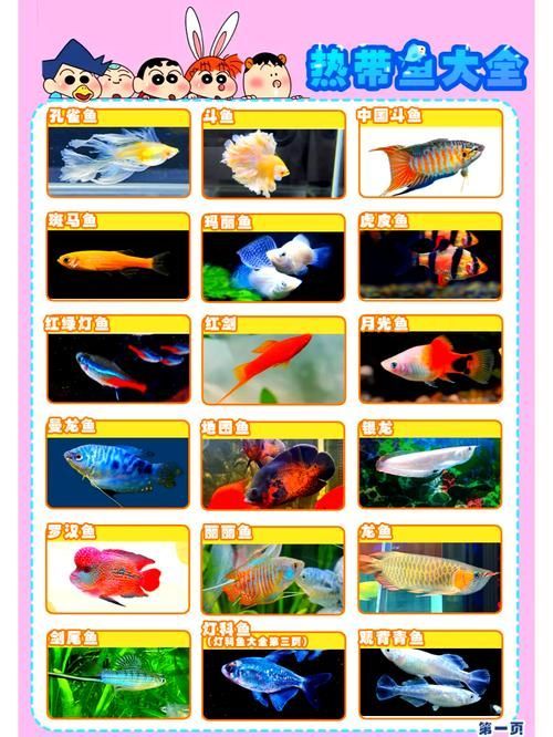 如何預防魚黑色霉斑的再次發生