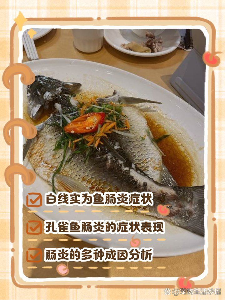 如何判斷魚腸炎是否嚴重，如何判斷魚腸炎