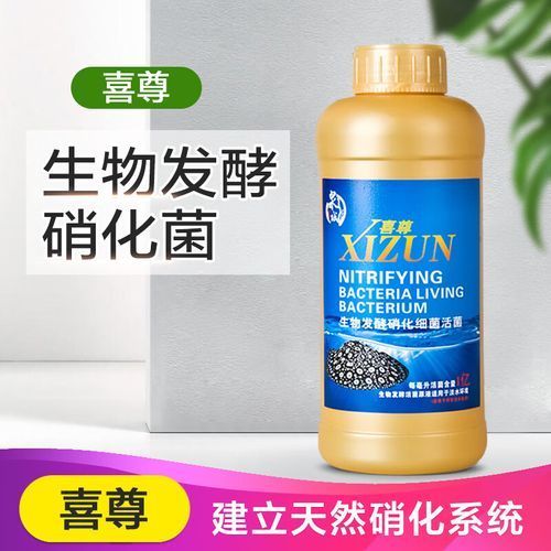 給我推薦幾款類似龍魚1號的護理劑，“龍魚1號的護理劑”是什么類似龍魚1號的護理劑