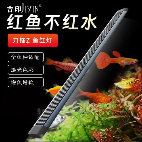 有哪些品牌的龍魚燈光推薦？，有哪些品牌的龍魚燈光推薦?