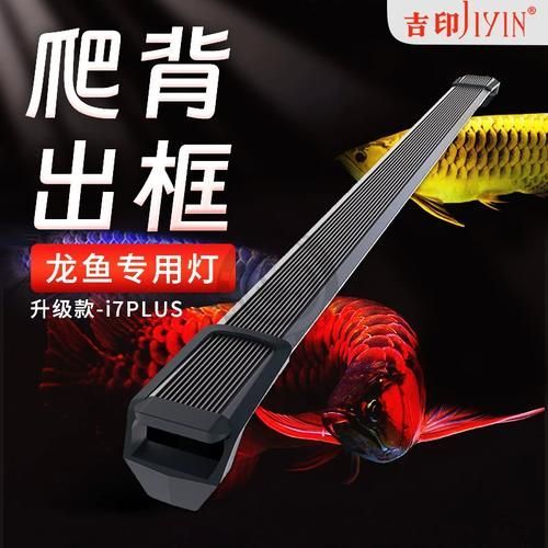 有哪些品牌的龍魚燈光推薦？，有哪些品牌的龍魚燈光推薦?