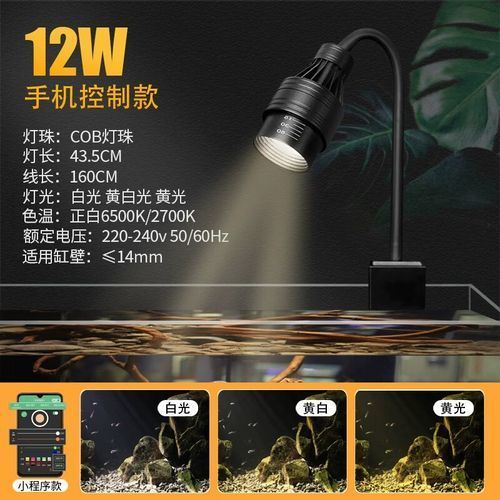有哪些品牌的龍魚燈光推薦？，有哪些品牌的龍魚燈光推薦?