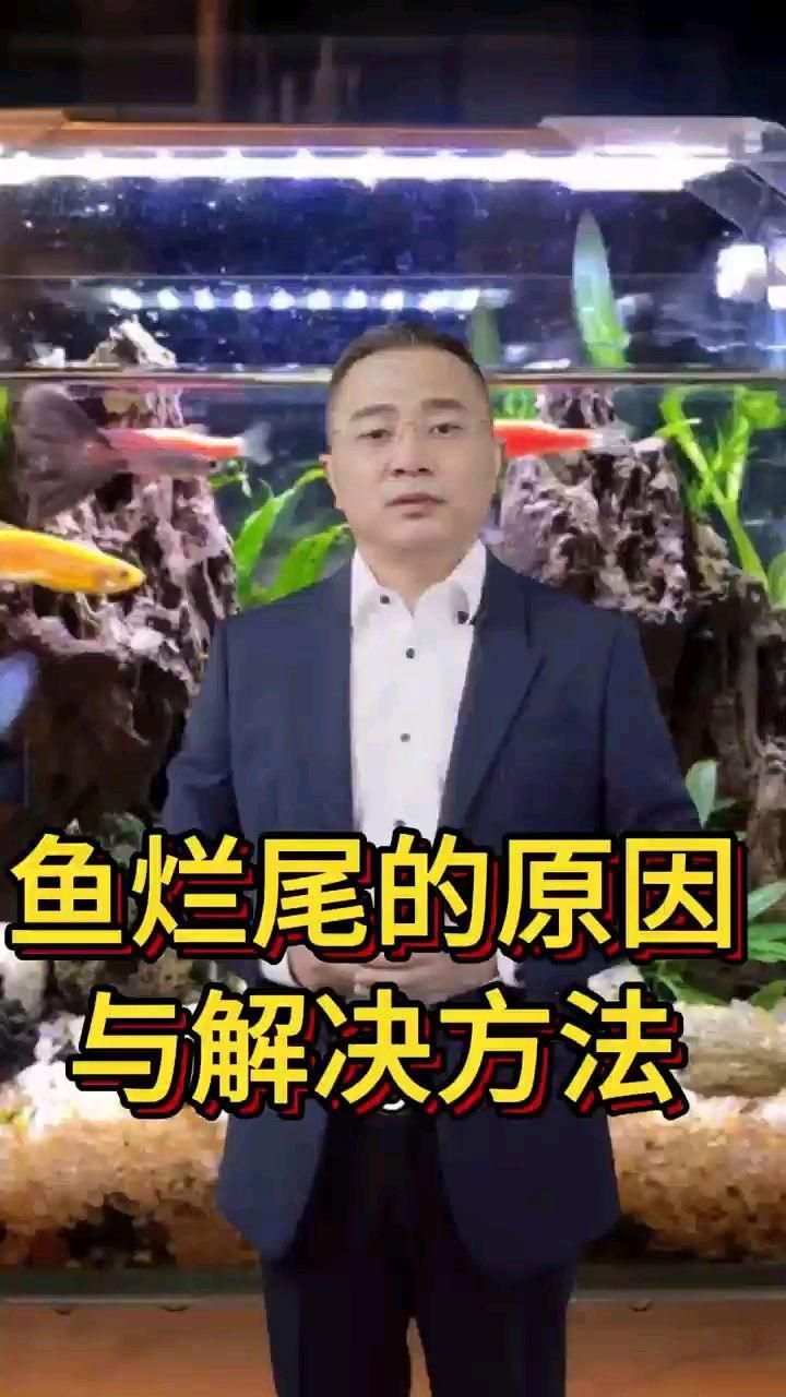 魚爛尾是什么原因，觀賞魚爛尾是什么原因觀賞魚爛尾是什么原因與解決方法