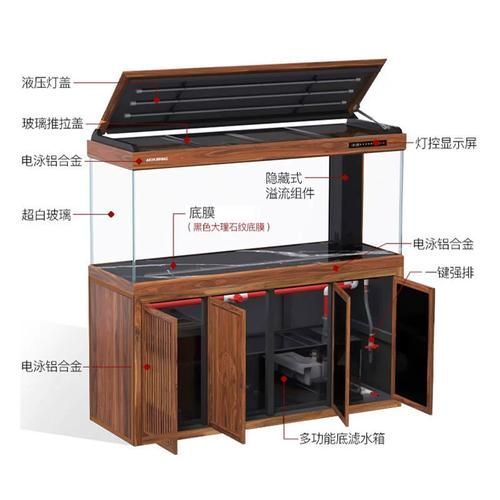 十大龍魚魚缸品牌排行榜中有哪些品牌？，十大龍魚缸品牌排行榜