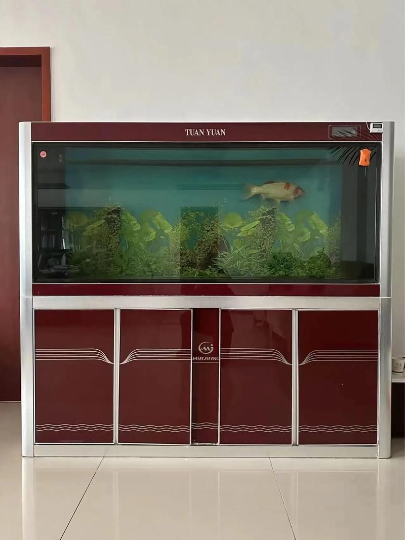 十大龍魚魚缸品牌排行榜中有哪些品牌？，十大龍魚缸品牌排行榜