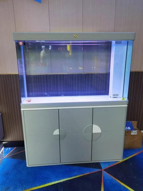 十大龍魚魚缸品牌排行榜中有哪些品牌？，十大龍魚缸品牌排行榜