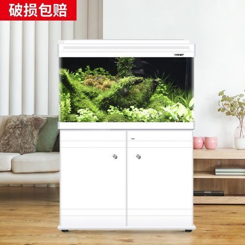 十大龍魚魚缸品牌排行榜中有哪些品牌？，十大龍魚缸品牌排行榜
