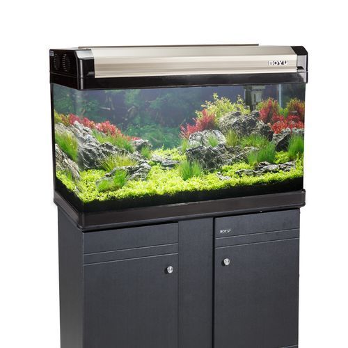 十大龍魚魚缸品牌排行榜中有哪些品牌？，十大龍魚缸品牌排行榜