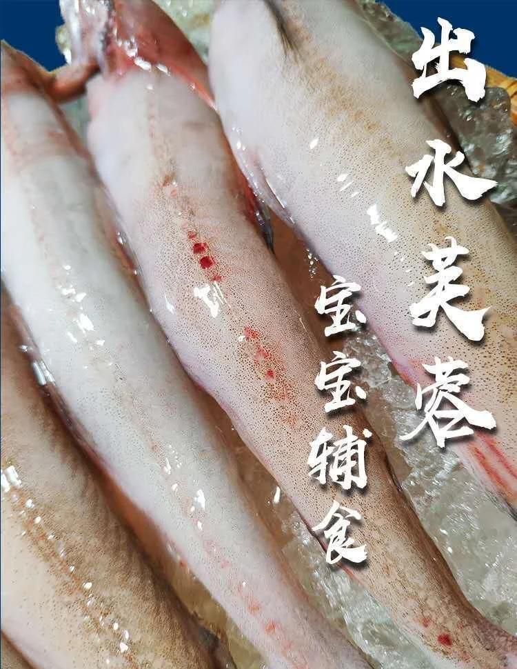 龍魚什么品種最好吃，東海小白龍（龍頭魚）什么品種最好吃東海小白龍的家常菜譜