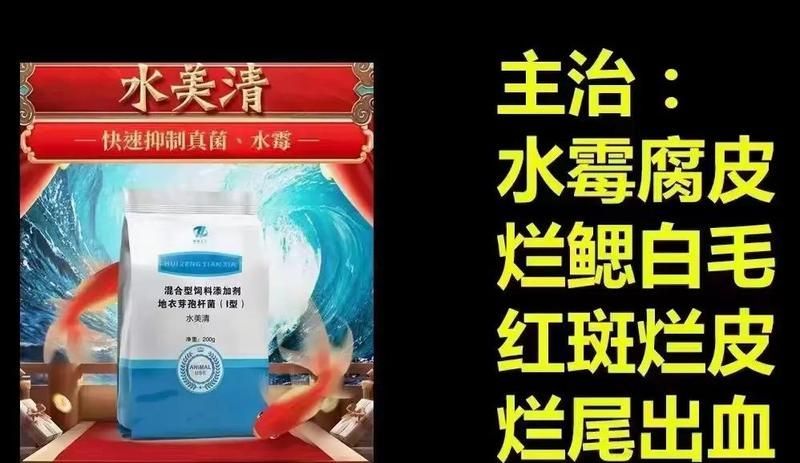 如何預(yù)防魚塘水霉病的發(fā)生，如何預(yù)防魚塘水霉病