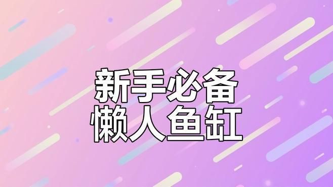 有哪些適合新手的小魚缸推薦，適合新手養魚新手養魚新手養魚魚缸推薦07智能魚缸