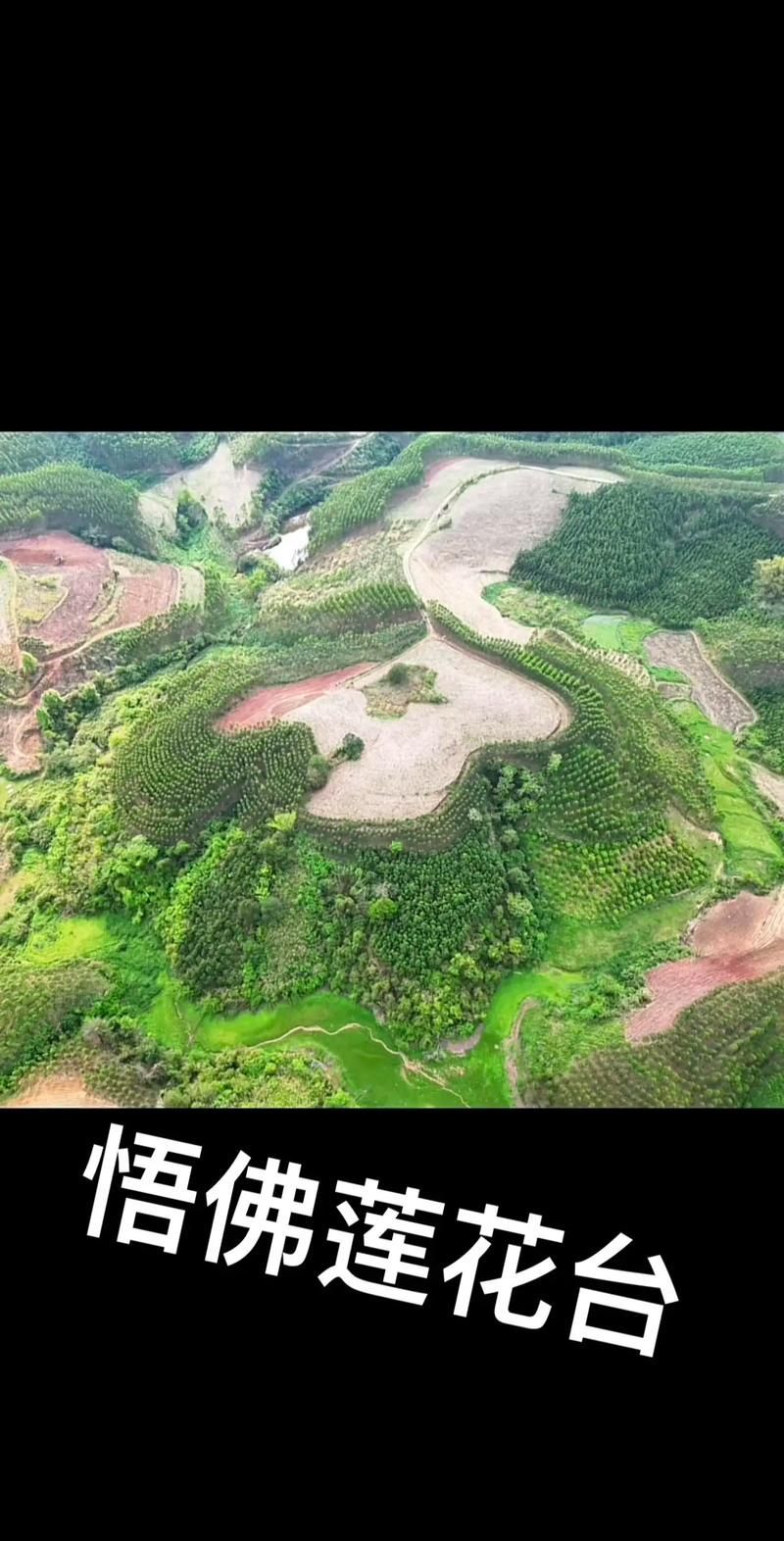 提供幾張龍形地的風水圖片，如何判斷一塊地是否屬于龍形地