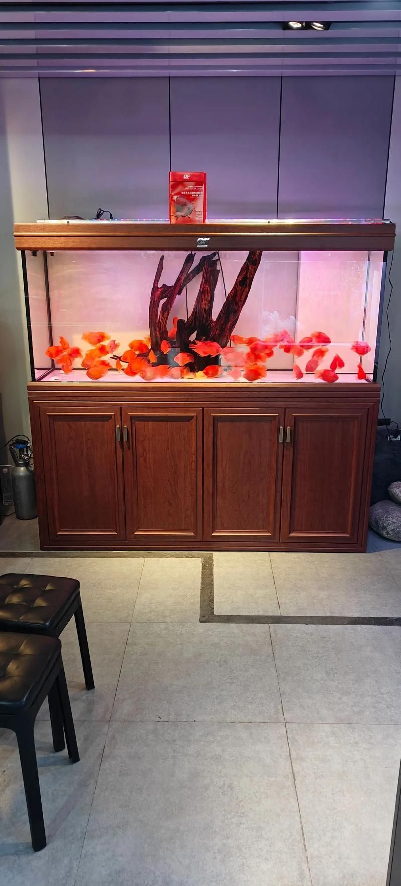 如何選擇適合的仟湖魚缸型號？，如何選擇仟湖魚缸型號