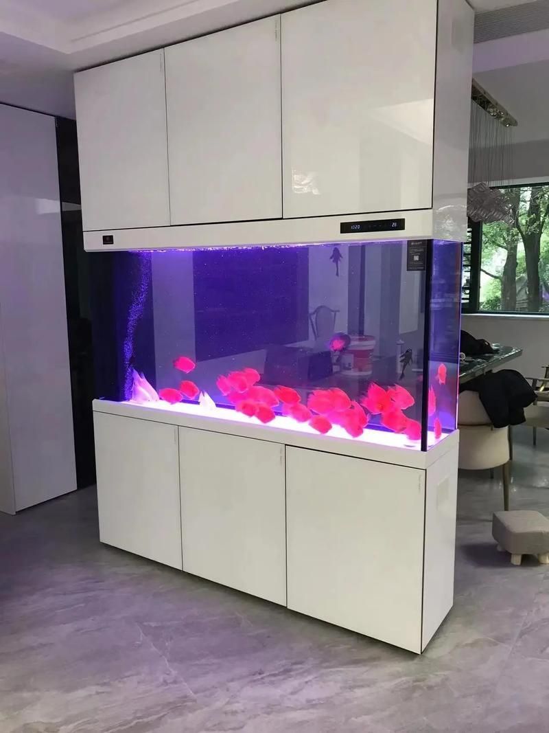 如何選擇適合的仟湖魚缸型號？，如何選擇仟湖魚缸型號