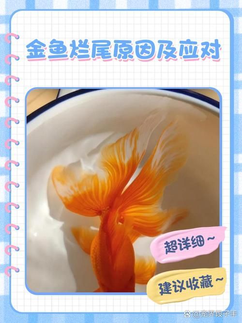 如何預防龍睛爛尾，如何預防龍睛爛尾,用戶要求詳解