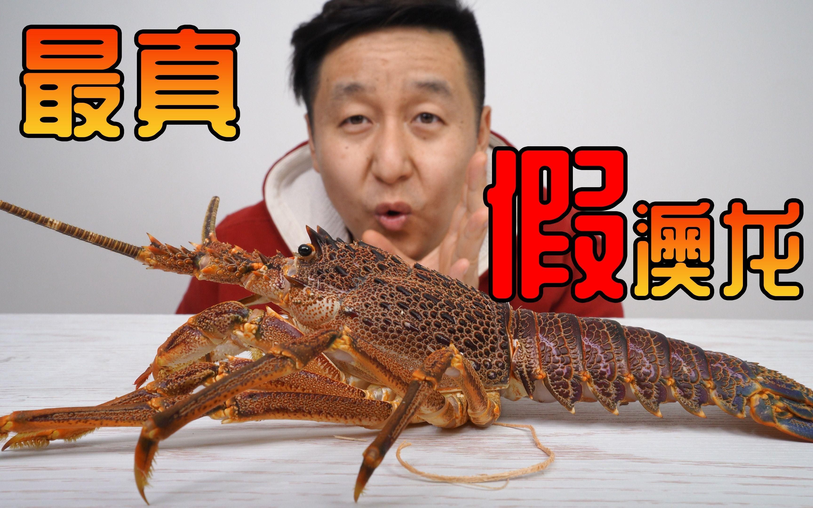 如何區分紅龍與澳龍，紅龍與澳龍海鮮控必看cilux對比速查表