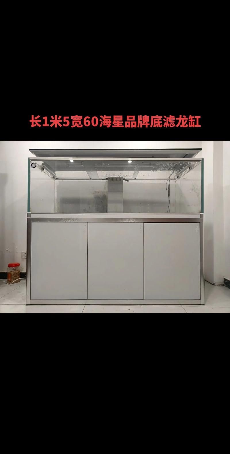 標準龍魚缸尺寸有哪些常見類型？，標準龍魚缸尺寸類型