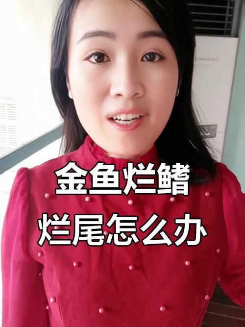 如何判斷錦鯉爛尾爛鰭的嚴重程度，判斷錦鯉爛尾爛鰭的嚴重程度思考完成arxiv論文助手
