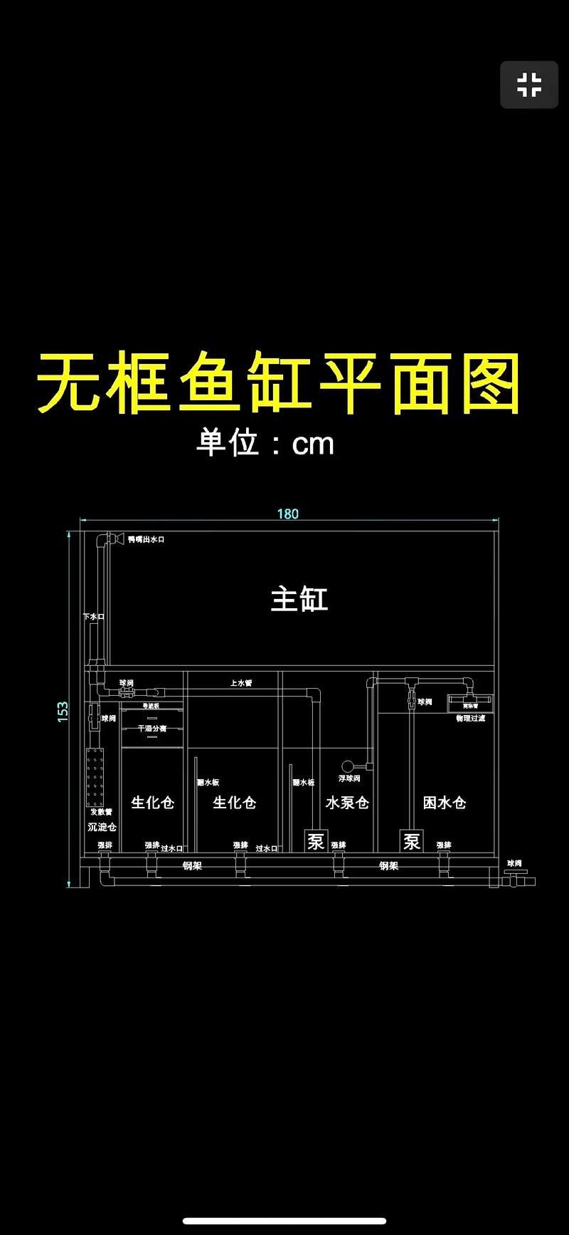 裸缸養魚有哪些注意事項