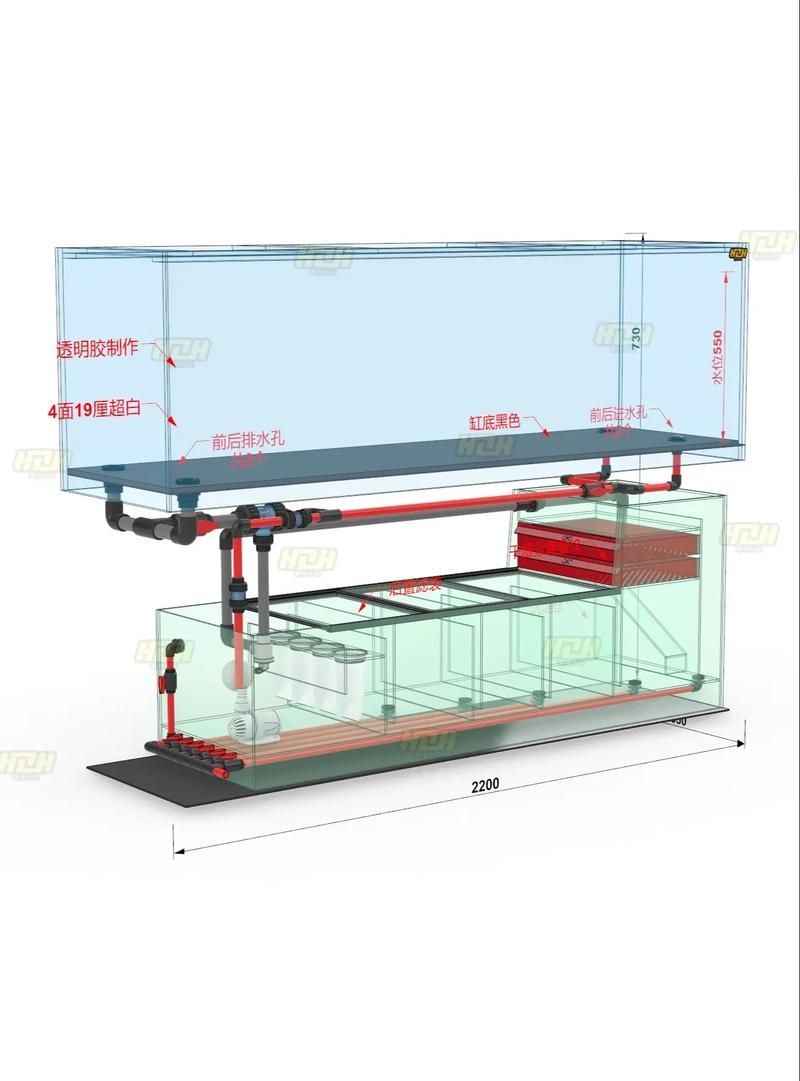 裸缸養魚有哪些注意事項
