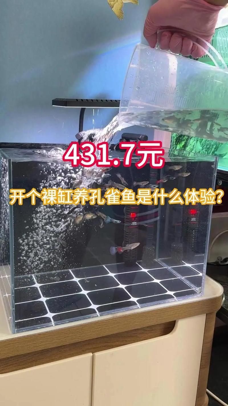 裸缸養魚有哪些注意事項