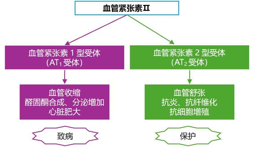 這三種病分別用什么藥最有效，中國高血壓、2型糖尿病、冠心病的首選藥物詳解