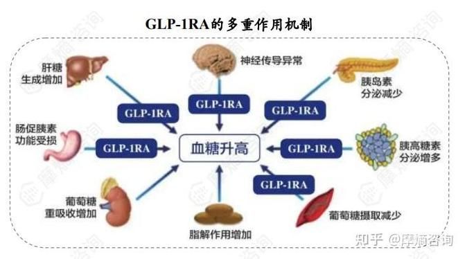 這三種病分別用什么藥最有效，中國高血壓、2型糖尿病、冠心病的首選藥物詳解