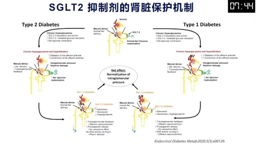 這三種病分別用什么藥最有效，中國高血壓、2型糖尿病、冠心病的首選藥物詳解