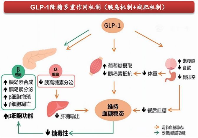 這三種病分別用什么藥最有效，中國高血壓、2型糖尿病、冠心病的首選藥物詳解