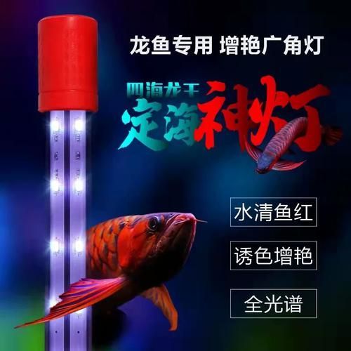 如何選擇適合龍魚的燈光，選擇適合龍魚的燈光是確保其健康成長和展示最佳關(guān)鍵因素之一