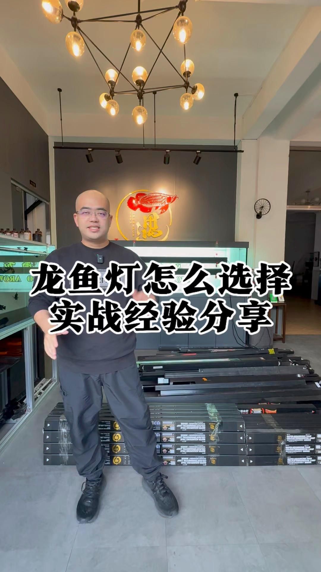 如何選擇適合龍魚的燈光，選擇適合龍魚的燈光是確保其健康成長和展示最佳關(guān)鍵因素之一