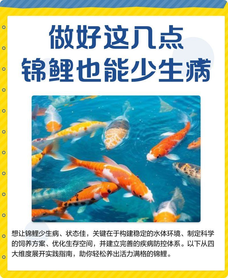 如何預(yù)防龍魚和錦鯉生病，如何預(yù)防龍魚和錦鯉生病，預(yù)防龍魚和錦鯉生病，關(guān)鍵在于“環(huán)境穩(wěn)定、管理精細、預(yù)防為主”