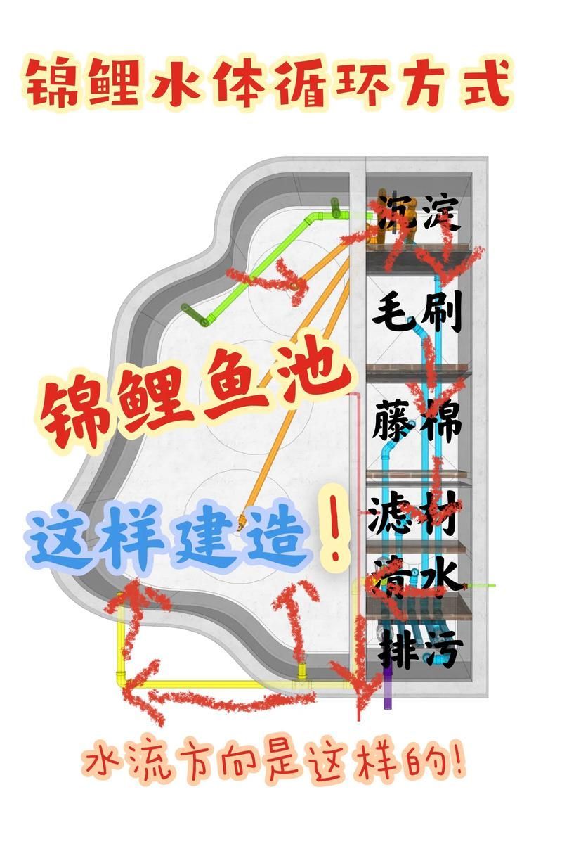 如何預防錦鯉爛鰭病復發，錦鯉爛鰭病復發預防