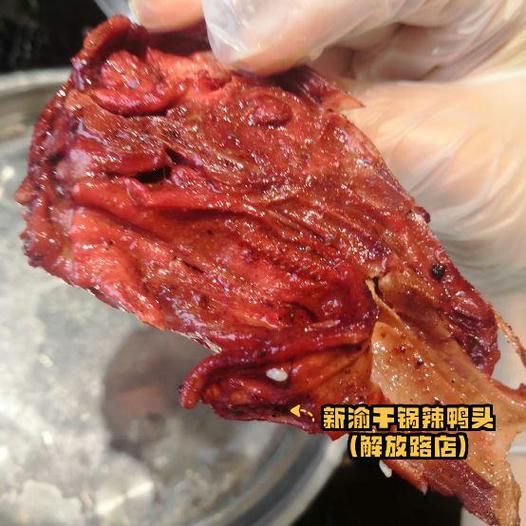 十大智商最高的魚，十大智商最高的魚類智商排名靠前的魚類