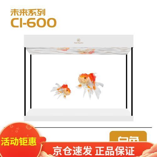 有哪些高端龍魚缸品牌推薦？，如何挑選高端龍魚缸