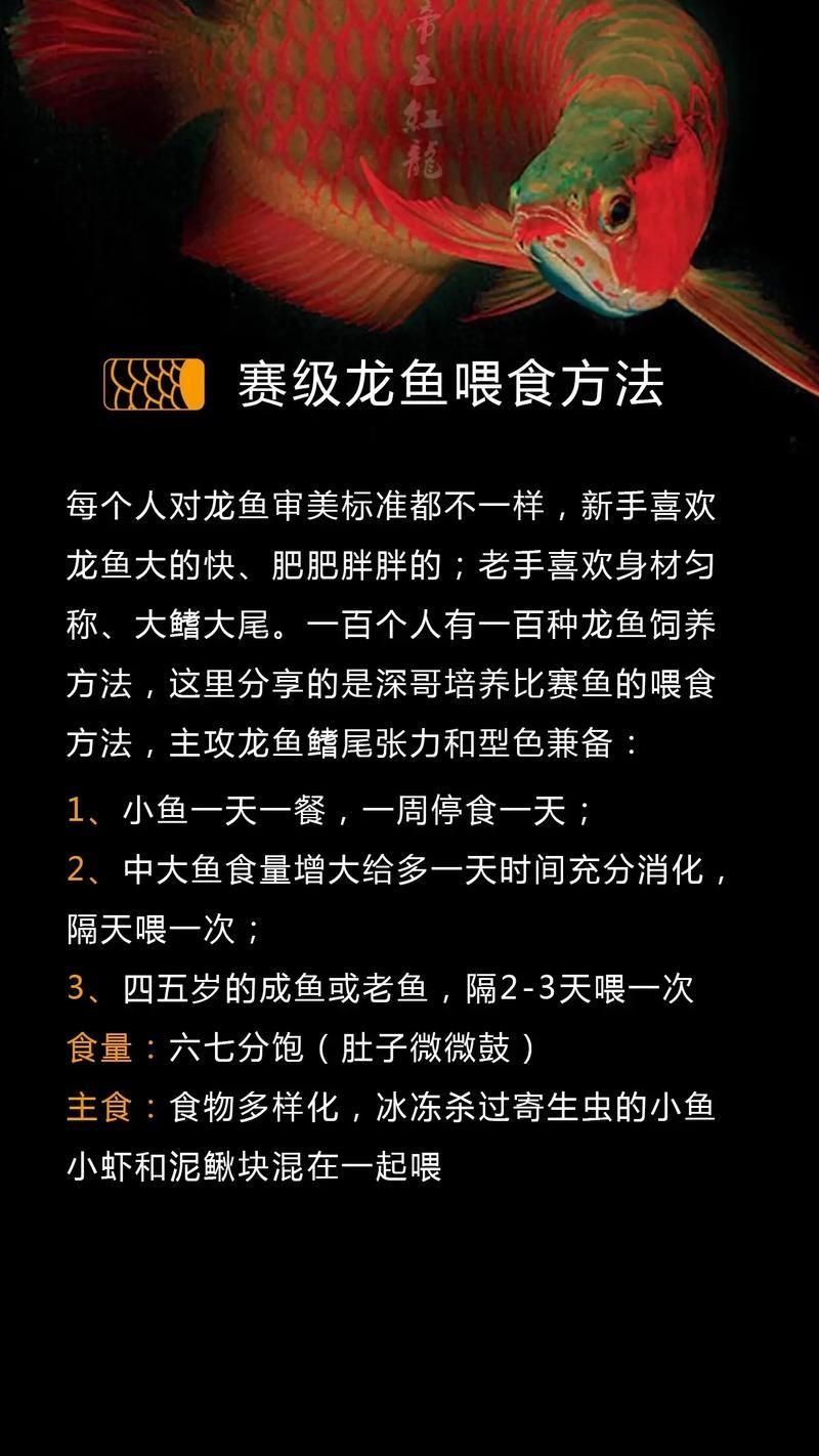 龍魚飼料配方視頻有哪些推薦？，龍魚飼料配方視頻