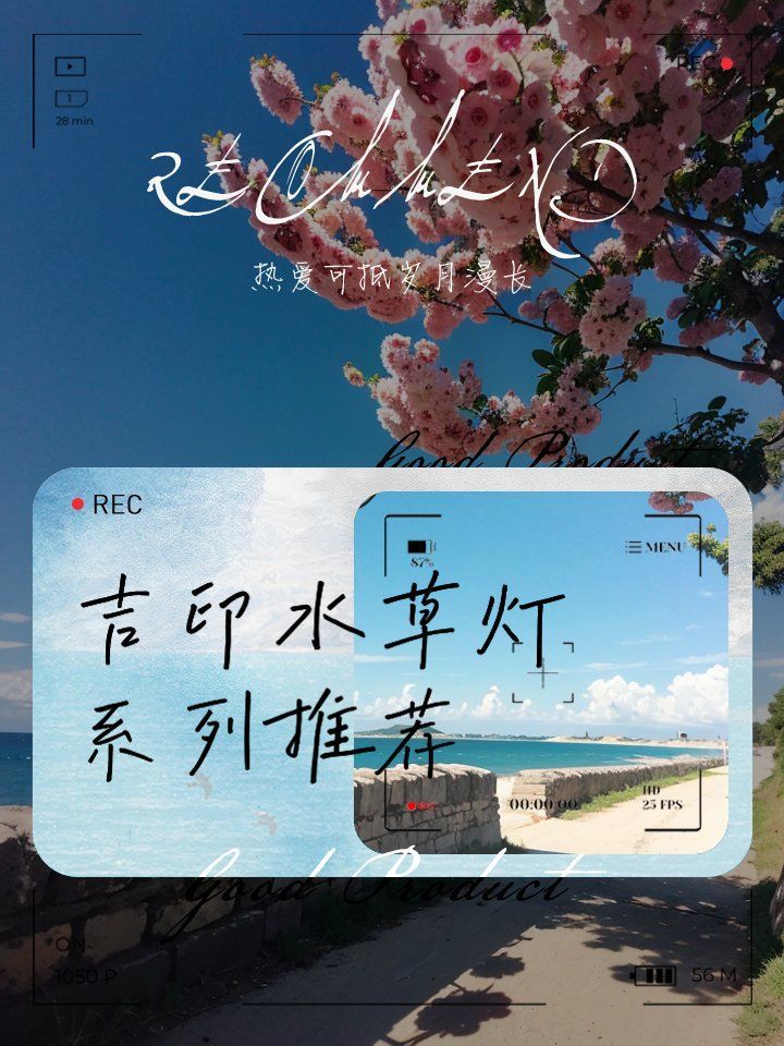 吉印水族，吉印水族（吉印水族）