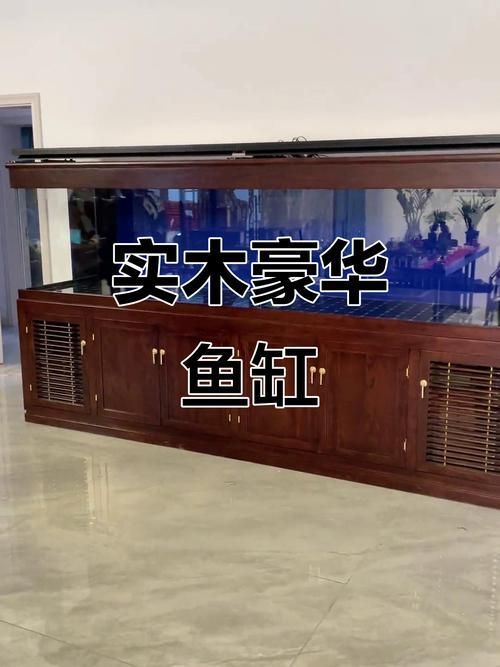 給我推薦幾款性價比高的龍魚缸，海洋之心龍魚缸，性價比高的龍魚缸，