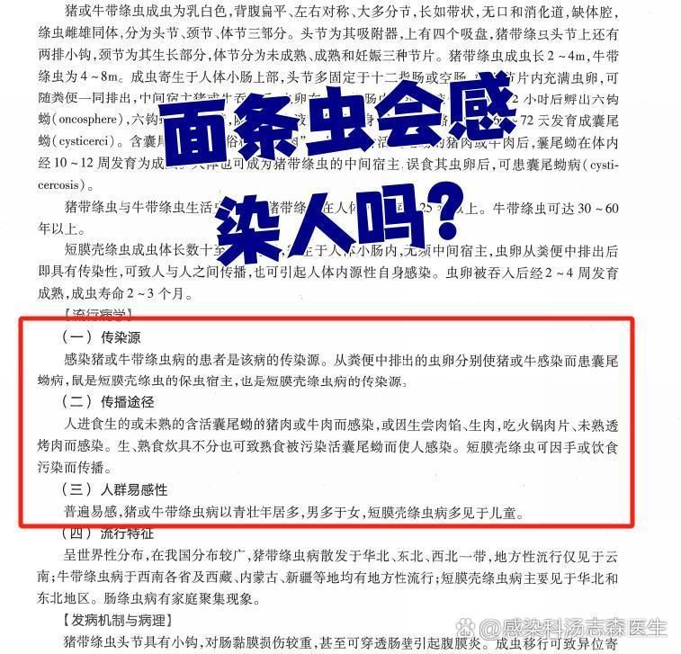 面條蟲對人體有哪些具體危害，面條蟲對人體有哪些具體危害？