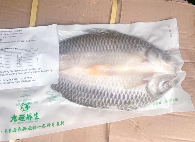 馬來西亞忘不了魚，馬來西亞“忘不了魚”