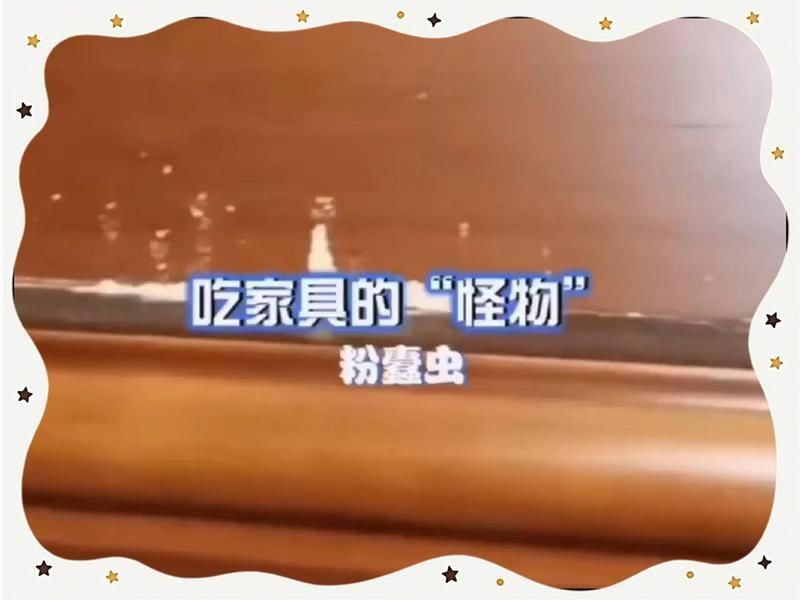 家里出現蠹蟲要警惕了，家里出現蠹蟲要警惕了，