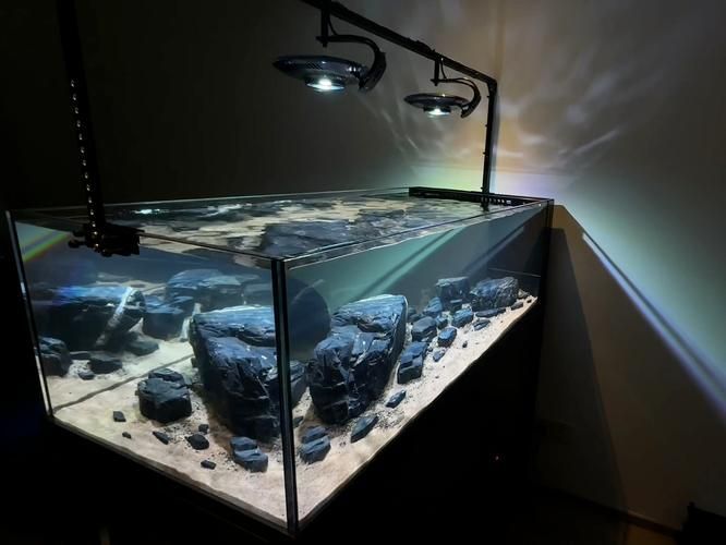 水鴨魚缸有哪些型號(hào)可選？