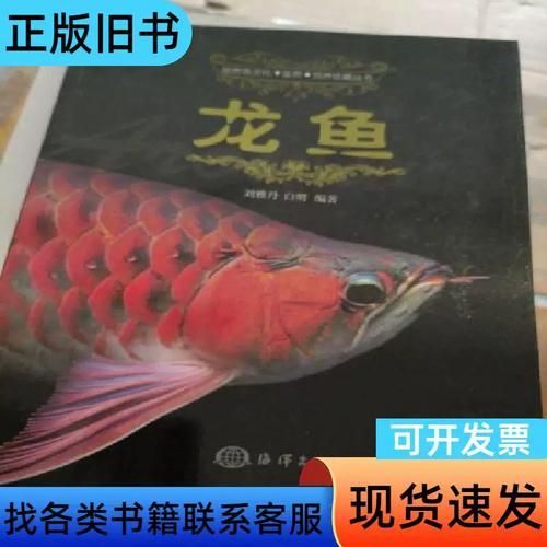 《城中龍魚》作者是誰(shuí)？，《城中龍魚》作者是誰(shuí)