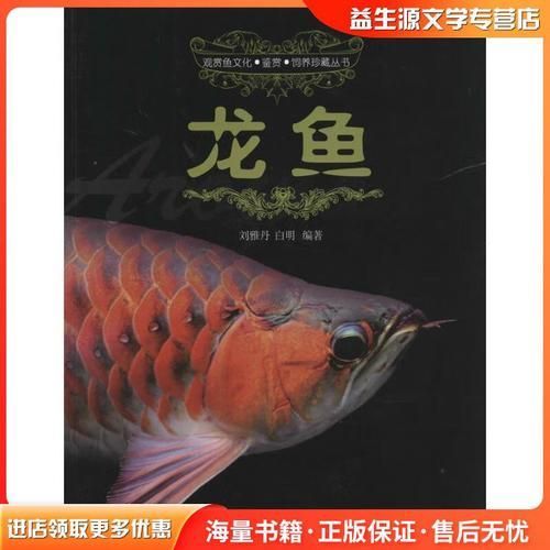 《城中龍魚》作者是誰(shuí)？，《城中龍魚》作者是誰(shuí)