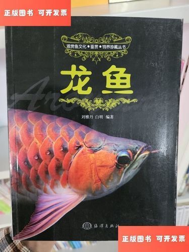 《城中龍魚》作者是誰(shuí)？，《城中龍魚》作者是誰(shuí)
